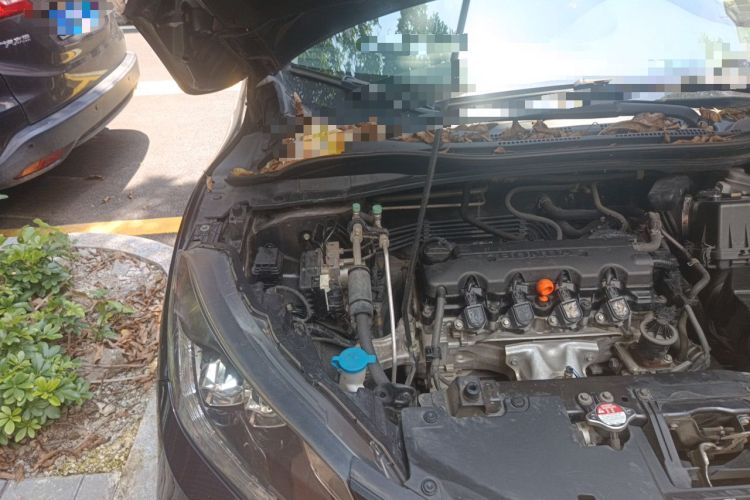 Used Honda Vezel 2017 1.8L CVT Front-Wheel Drive Pioneer Edition Engine Bay Right
