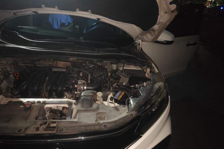 Used Honda XR-V 2015 1.5L LXi Manual Classic Edition Engine Bay Left