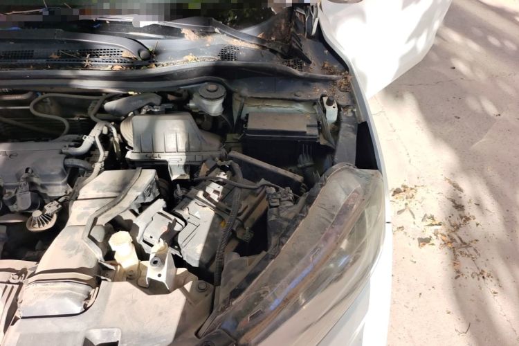 Used Honda XR-V 2015 1.8L VTi CVT Luxury Edition Engine Bay Left