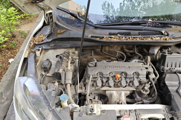 Used Honda XR-V 2015 1.8L EXi CVT Comfort Version Engine Bay Right