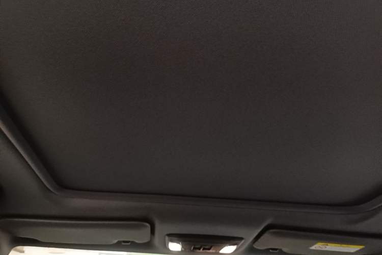 Used Honda XR-V 2020 220TURBO CVT Luxury Edition Headliner