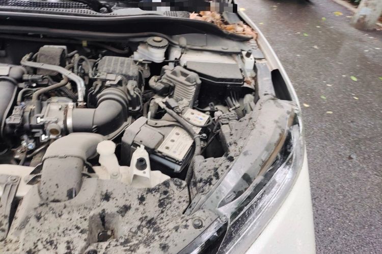 Used Honda XR-V 2020 1.5L CVT Comfort Version Engine Bay Left