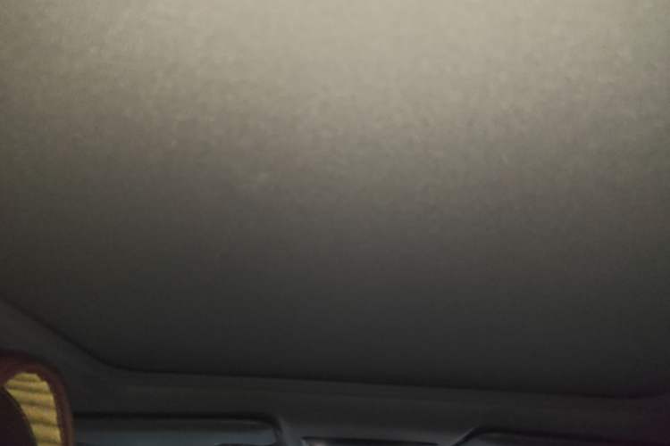 Used Honda XR-V 2020 220TURBO CVT Luxury Edition Headliner