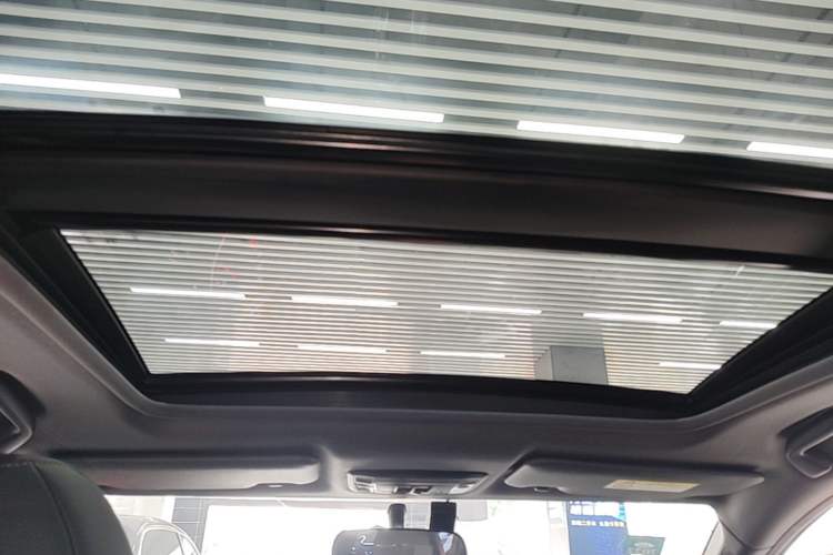 Used Honda XR-V 2020 220TURBO CVT Luxury Edition Headliner