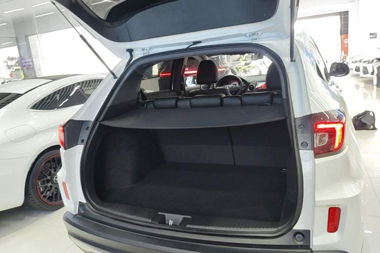 Used Honda XR-V 2020 220TURBO CVT Luxury Edition Trunk