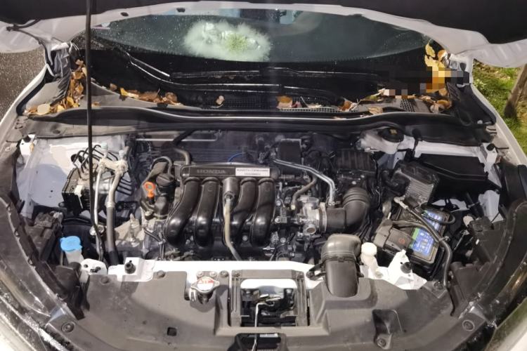 Used Honda XR-V 2021 1.5L CVT Comfort Version Engine Bay