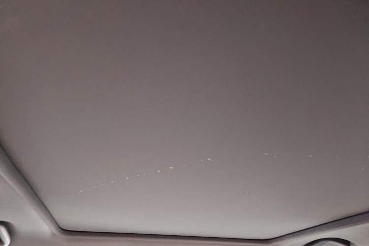 Used Honda XR-V 2021 1.5L CVT Comfort Version Headliner