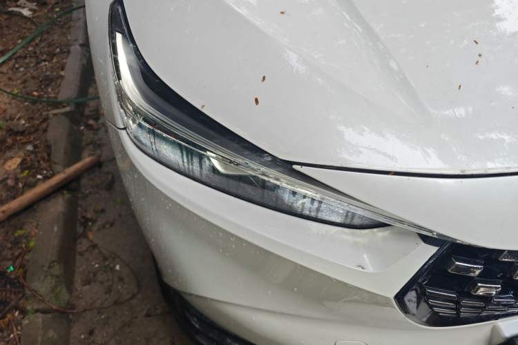 Used Honda XR-V 2024 1.5L CVT Trend Edition Right Front Headlight