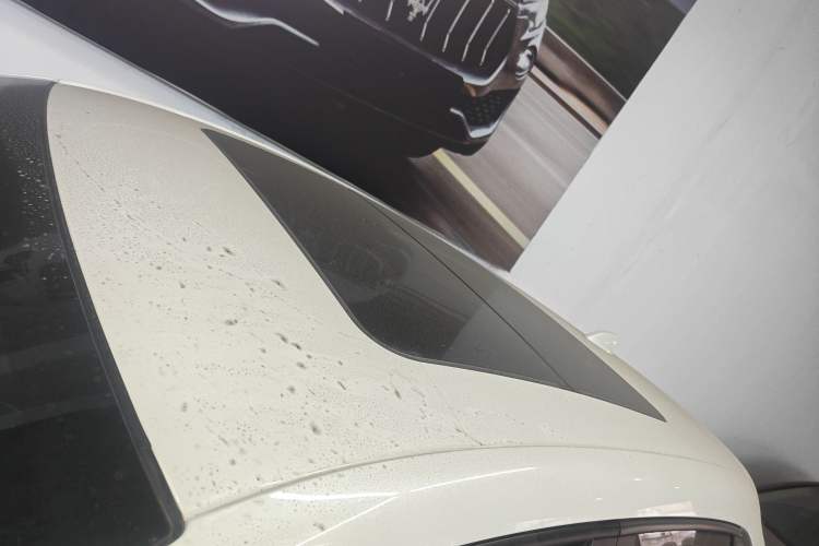 Used Honda ZR-V 2022 1.5T CVT Luxury Edition Roof