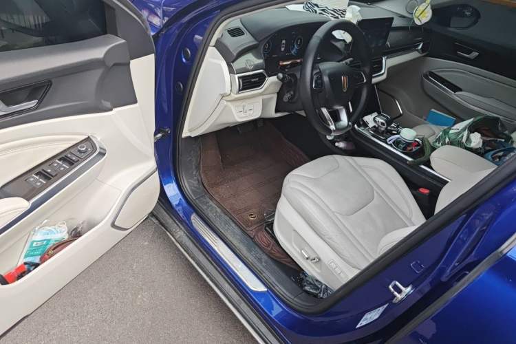 Used Hongqi E-HS3 2019 Zhilian Qiyue Two-Wheel Drive Version Driver Seat