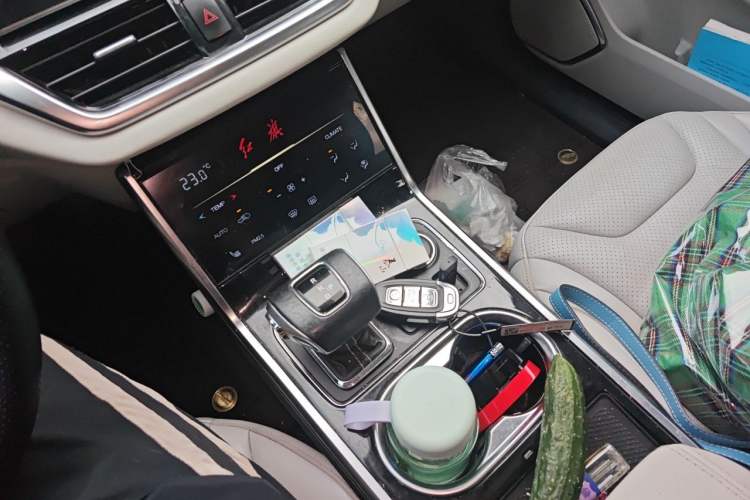 Used Hongqi E-HS3 2019 Zhilian Qiyue Two-Wheel Drive Version Gear Lever