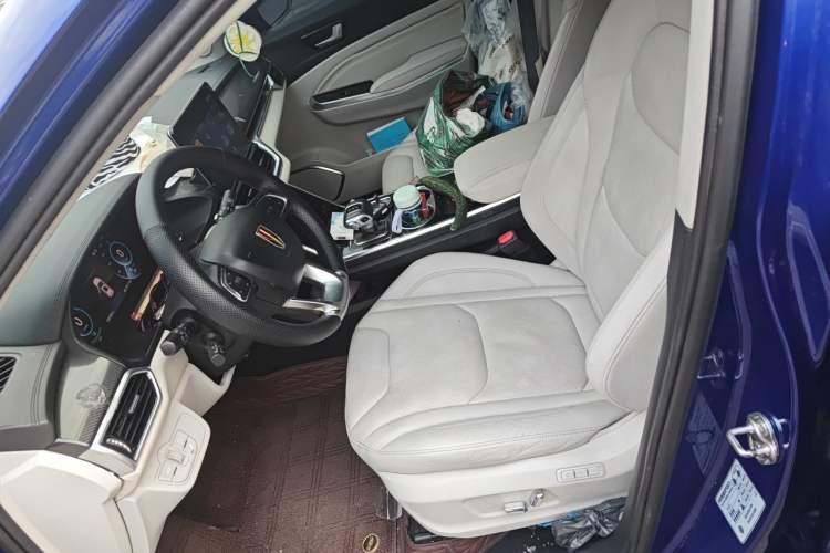 Used Hongqi E-HS3 2019 Zhilian Qiyue Two-Wheel Drive Version Left Front Seat