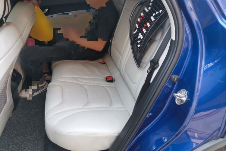 Used Hongqi E-HS3 2019 Zhilian Qiyue Two-Wheel Drive Version Left Rear Seat