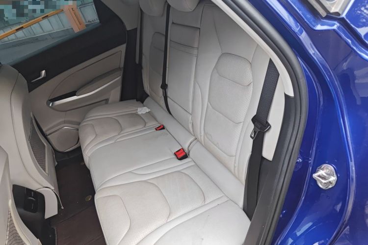 Used Hongqi E-HS3 2019 Zhilian Qiyue Two-Wheel Drive Version Left Rear Seat