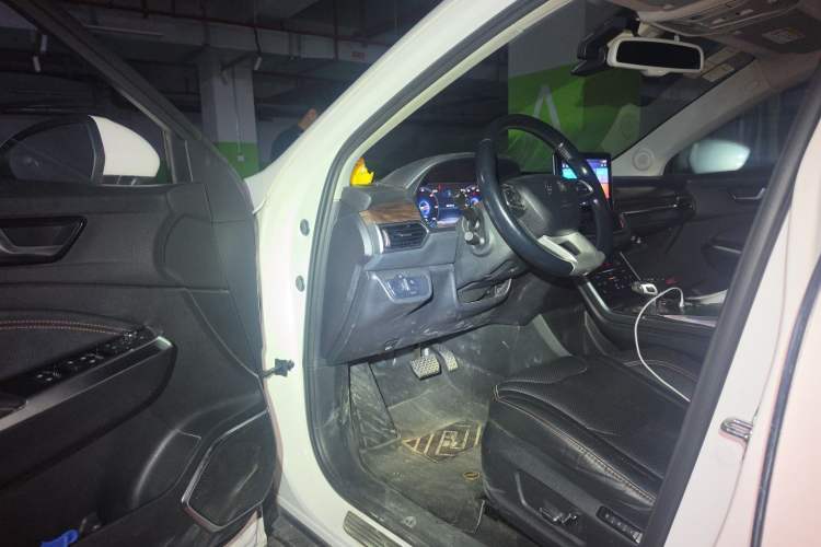 Used Hongqi E-HS3 2019 Zhilian Qiyue Two-Wheel Drive Version Driver Seat