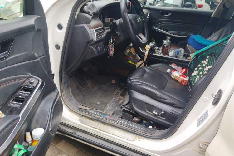 Used Hongqi E-HS3 2019 Zhilian Qiyue Two-Wheel Drive Version Driver Seat