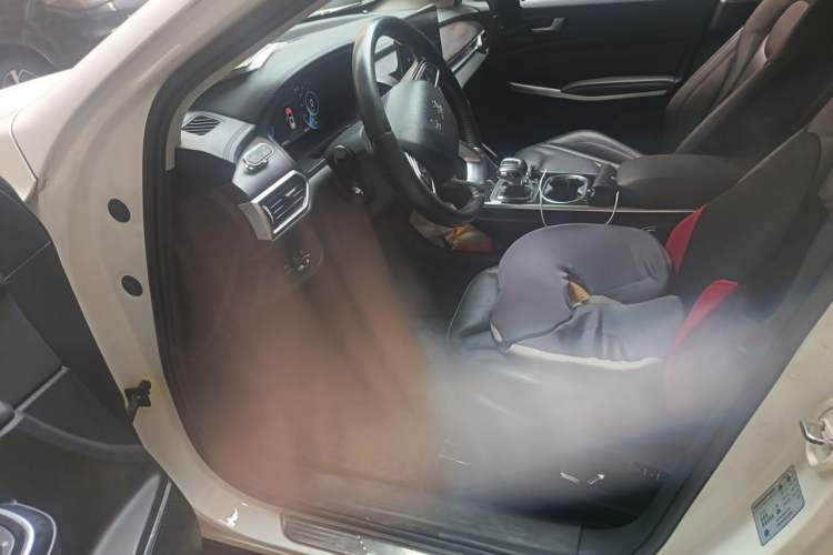 Used Hongqi E-HS3 2019 Zhilian Qiyue Two-Wheel Drive Version Driver Seat