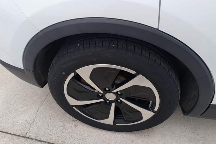 Used Hongqi E-HS3 2019 Zhilian Qiyue Two-Wheel Drive Version Exterior 5