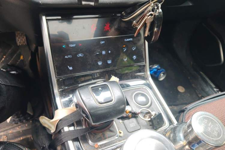 Used Hongqi E-HS3 2019 Zhilian Qiyue Two-Wheel Drive Version Gear Lever