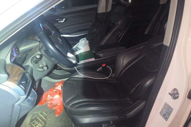 Used Hongqi E-HS3 2019 Zhilian Qiyue Two-Wheel Drive Version Left Front Seat