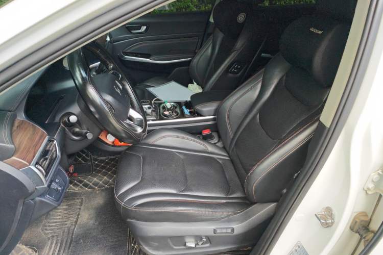 Used Hongqi E-HS3 2019 Zhilian Qiyue Two-Wheel Drive Version Left Front Seat