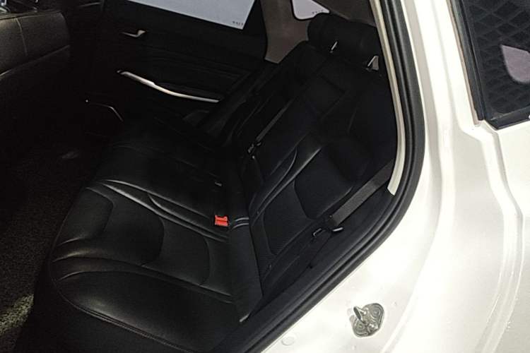 Used Hongqi E-HS3 2019 Zhilian Qiyue Two-Wheel Drive Version Left Rear Seat