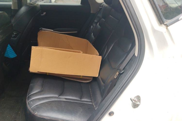 Used Hongqi E-HS3 2019 Zhilian Qiyue Two-Wheel Drive Version Left Rear Seat