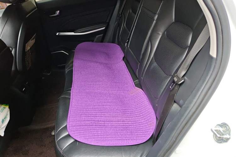 Used Hongqi E-HS3  Left Rear Seat