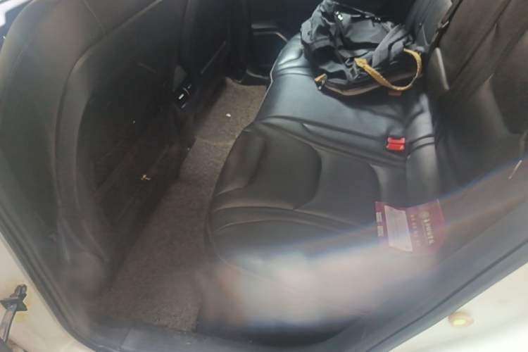 Used Hongqi E-HS3 2019 Zhilian Qiyue Two-Wheel Drive Version Left Rear Seat