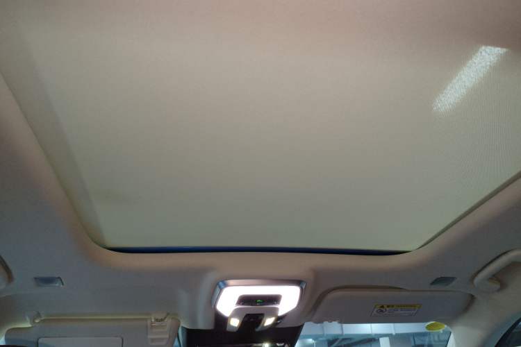 Used Hongqi E-HS9 2022 690 km Range Flagship Edition Six Seats Headliner