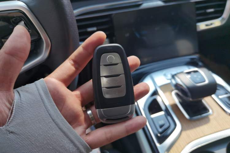 Used Hongqi E-HS9 2021 460 km Range Flagship Edition Six-Seater Vehicle Key