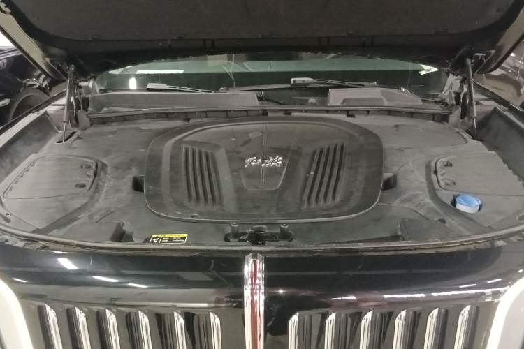 Used Hongqi E-HS9 2021 510 km Range Flagway Edition Six Seats Engine Bay