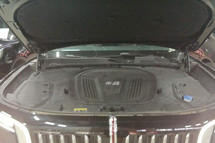 Used Hongqi E-HS9 2021 510 km Range Flagway Edition Six Seats Engine Bay