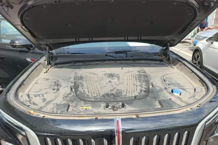 Used Hongqi E-HS9 2021 460 km Range Flagship Edition Six-Seater Engine Bay