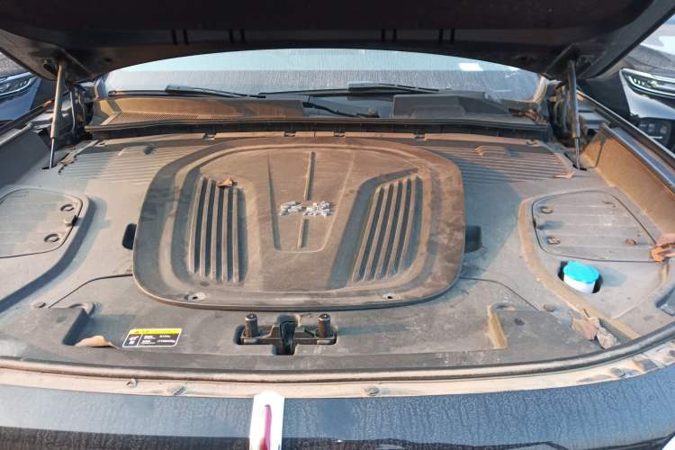 Used Hongqi E-HS9 2021 460 km Range Flagship Edition Six-Seater Engine Bay