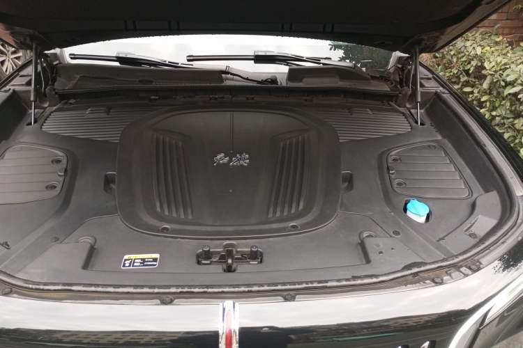 Used Hongqi E-HS9 2021 460 km Range Flagship Edition Six-Seater Engine Bay