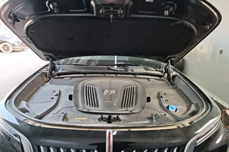 Used Hongqi E-HS9 2021 510 km Flagship Edition Four Seats Engine Bay