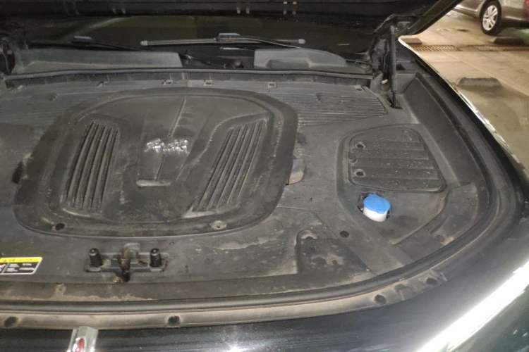 Used Hongqi E-HS9 2021 510 km Flagship Edition Four Seats Engine Bay Left