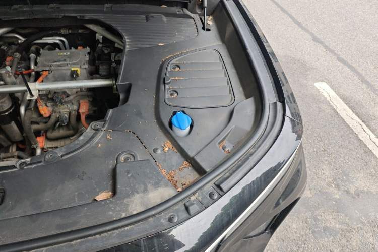 Used Hongqi E-HS9 2021 460 km Range Flagship Edition Six-Seater Engine Bay Left