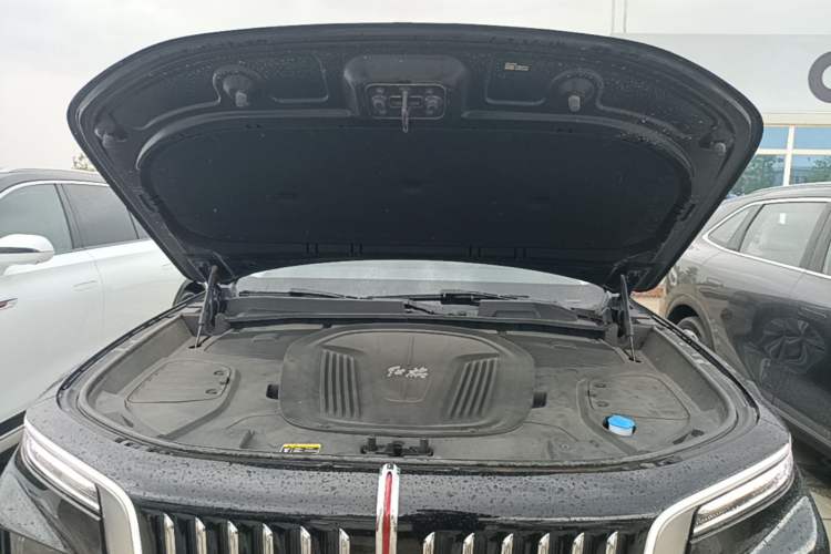 Used Hongqi E-HS9 2021 460 km Range Flagship Edition Six-Seater Engine Bay