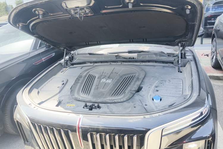 Used Hongqi E-HS9 2021 460 km Range Flagship Edition Six-Seater Engine Bay