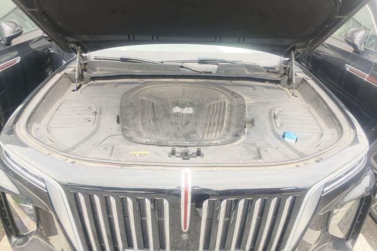 Used Hongqi E-HS9 2021 460 km Range Flagship Edition Six-Seater Engine Bay