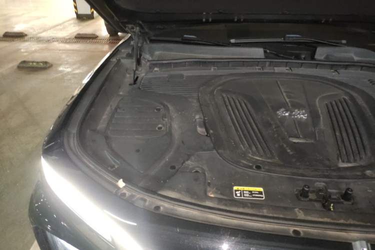 Used Hongqi E-HS9 2021 510 km Flagship Edition Four Seats Engine Bay Right