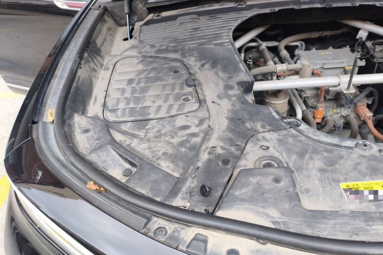 Used Hongqi E-HS9 2021 460 km Range Flagship Edition Six-Seater Engine Bay Right