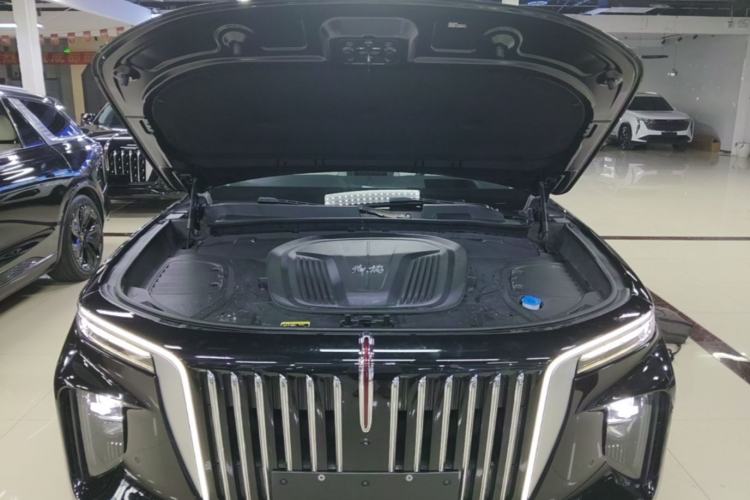 Used Hongqi E-HS9 2021 510 km Flagship Edition Four Seats Engine Bay