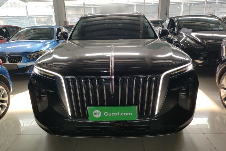 Used Hongqi E-HS9 2021 460 km Range Flagship Edition Six-Seater Exterior 1