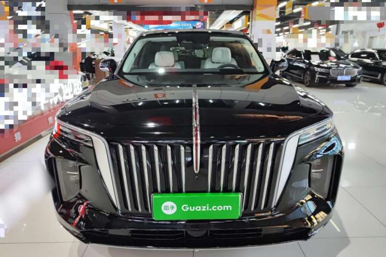 Used Hongqi E-HS9 2021 510 km Flagship Edition Four Seats Exterior 1