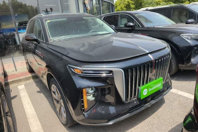 Used Hongqi E-HS9 2021 460 km Range Flagship Edition Six-Seater Exterior 1