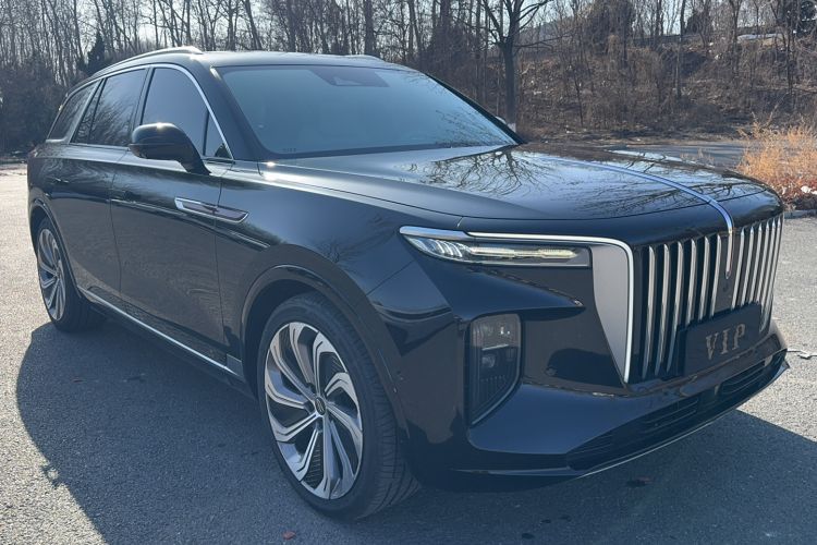 Used Hongqi E-HS9 2021 510 km Flagship Edition Four Seats Exterior 2