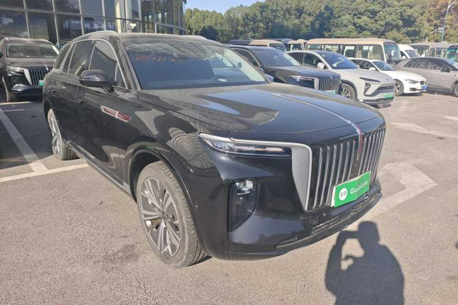Used Hongqi E-HS9 2021 460 km Range Flagship Edition Six-Seater Exterior 2
